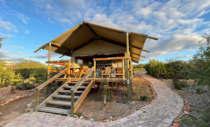 africamps glamping oudtshoorn