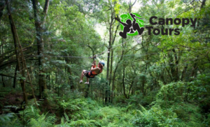 drakensberg zipline specials