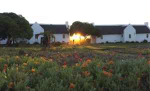 draaihoek lodge elands bay west coast holiday