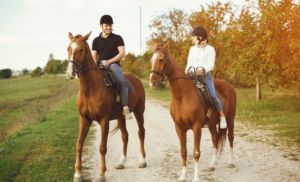 Sunset_ridge_farm_-_main_image