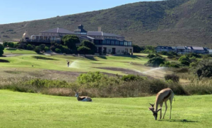 Bucks at The Lodge @ At Atlantic Beach