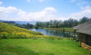 family getaway in the Midlands Meander 1 night self-catering accommodation group friends