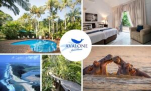 A 1 night tay at Avalone Guest House