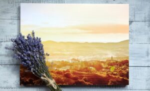 A Set of Mounted Canvas Prints from Image Printers