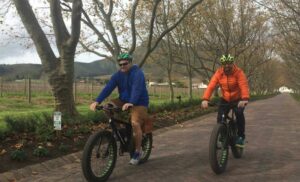 A WINE TOUR ON E-BIKES WITH VINE BIKES
